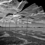 Johnny Walker-WIND & WAVES